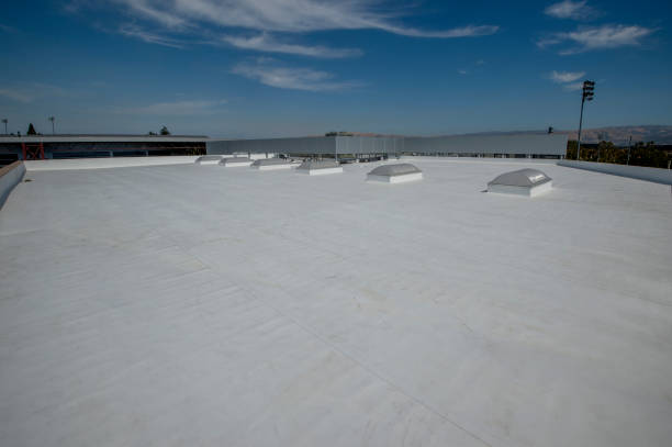 Best Asphalt Shingles Roofing  in Sand Lake, MI
