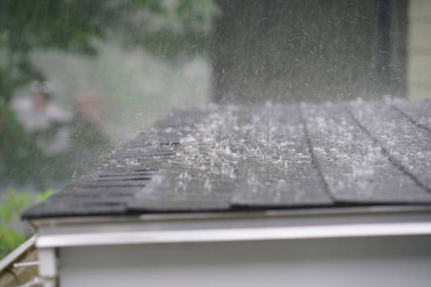 Best Rubber Roofing (EPDM, TPO)  in Sand Lake, MI