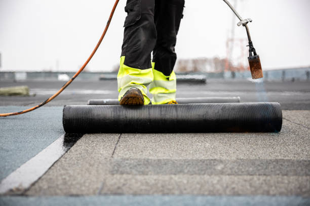 Best Roof Moss and Algae Removal  in Sand Lake, MI