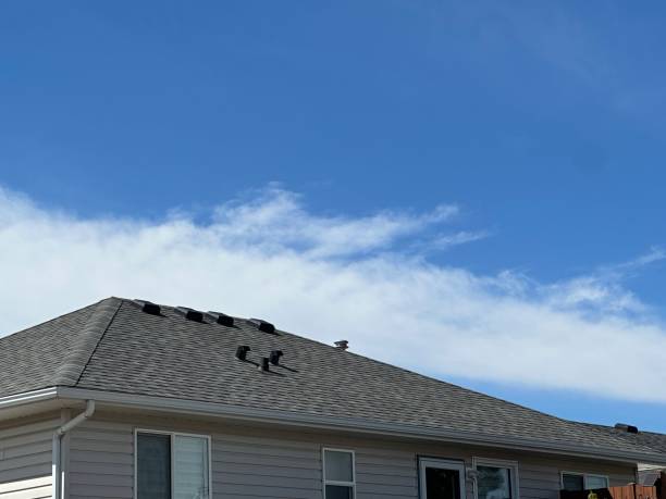 Best Storm Damage Roof Repair  in Sand Lake, MI